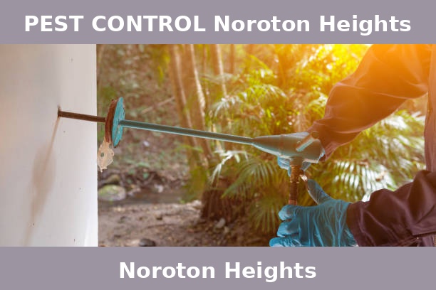 PEST CONTROL Noroton Heights